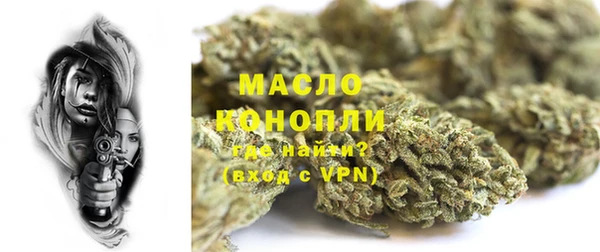 молекула духа Алексеевка